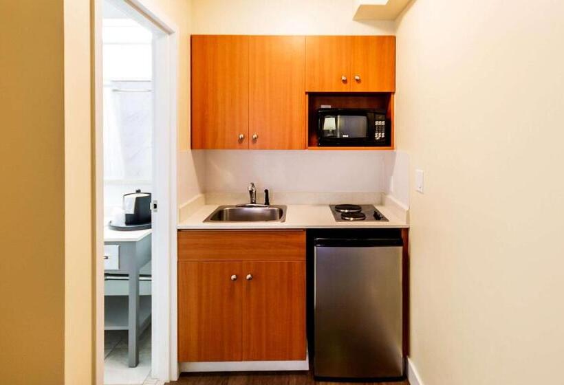 חדר סטנדרט עם מיטת קינג, Econo Lodge Inn & Suites University