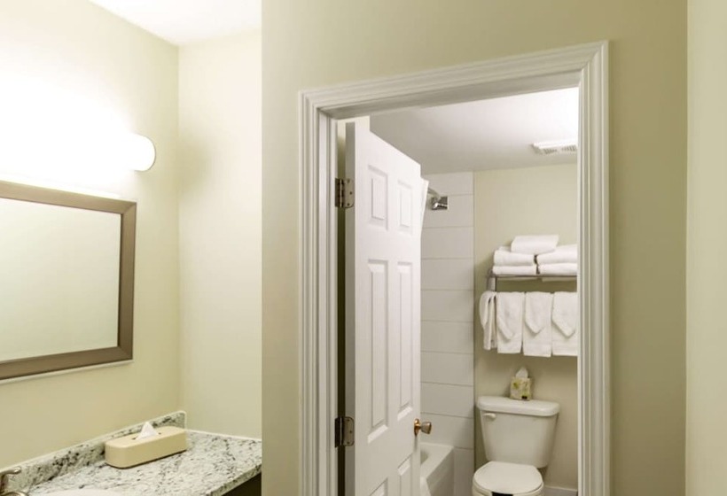 סוויטה, Econo Lodge Inn & Suites University