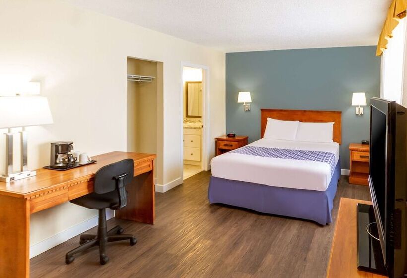 סוויטה, Econo Lodge Inn & Suites University