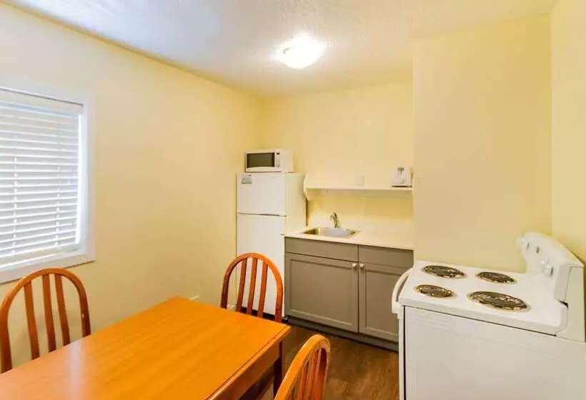 سوییت, Econo Lodge Inn & Suites University