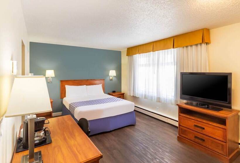 סוויטה, Econo Lodge Inn & Suites University