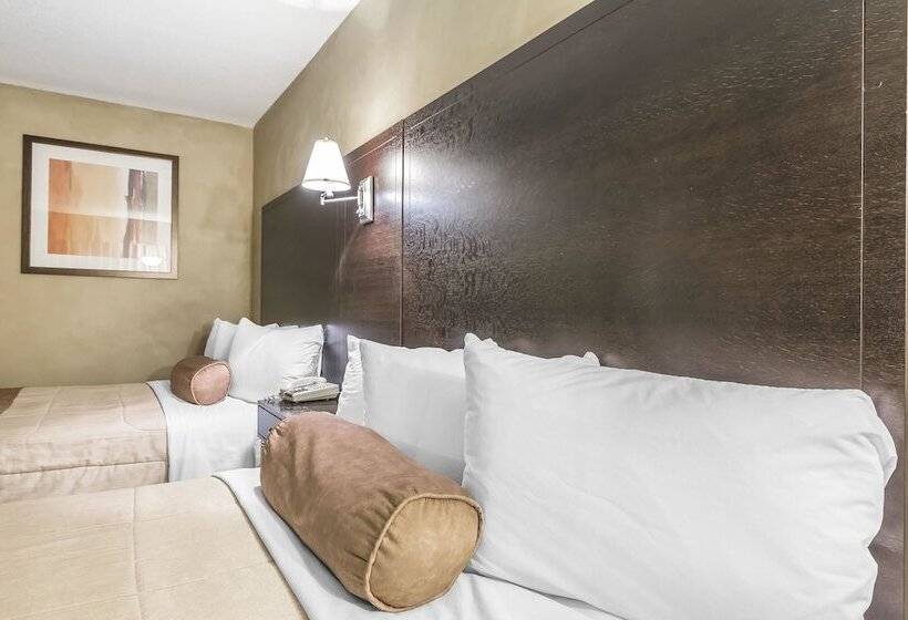 带2个双人床的标准工作室, Quality Hotel & Conference Centre