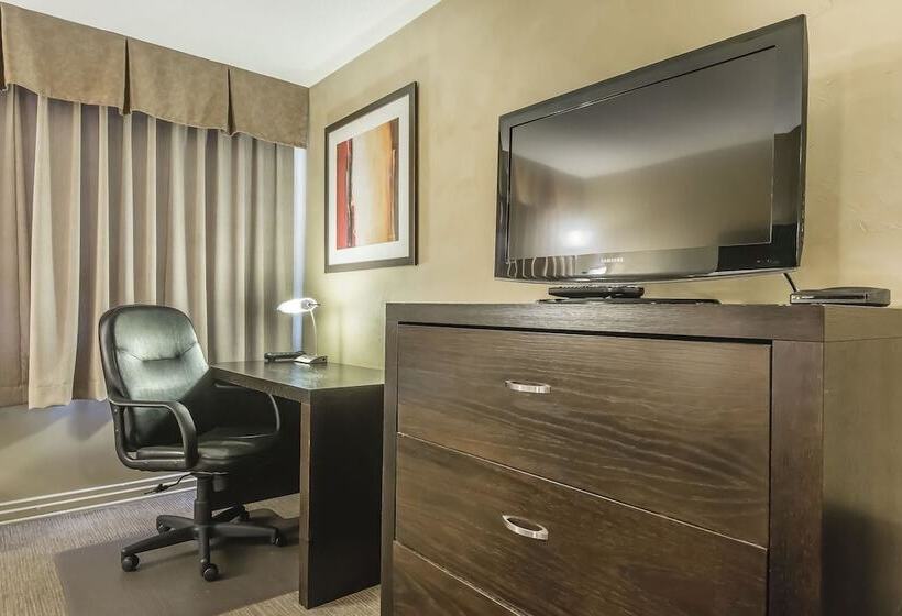 غرفه قياسيه سريرين مزدوجين, Quality Hotel & Conference Centre