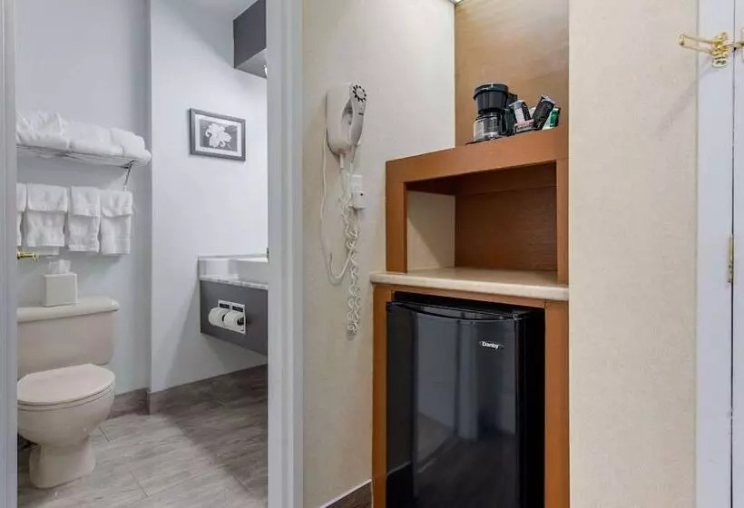 اتاق استاندارد با 2 تخت دوبل, Quality Inn & Suites Gatineau