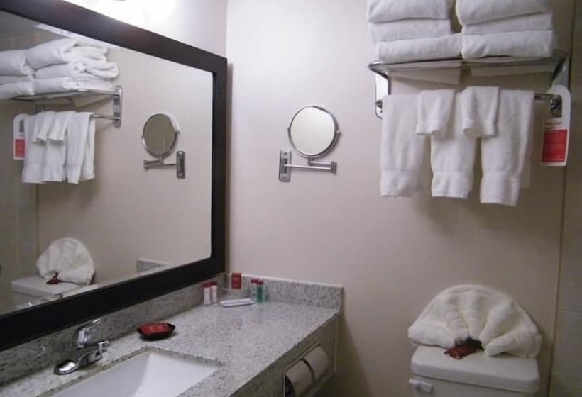 חדר סטודיו סטנדרד, Ramada By Wyndham Edmonton South