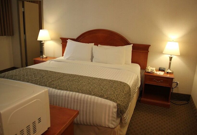 חדר סטודיו סטנדרד, Ramada By Wyndham Edmonton South