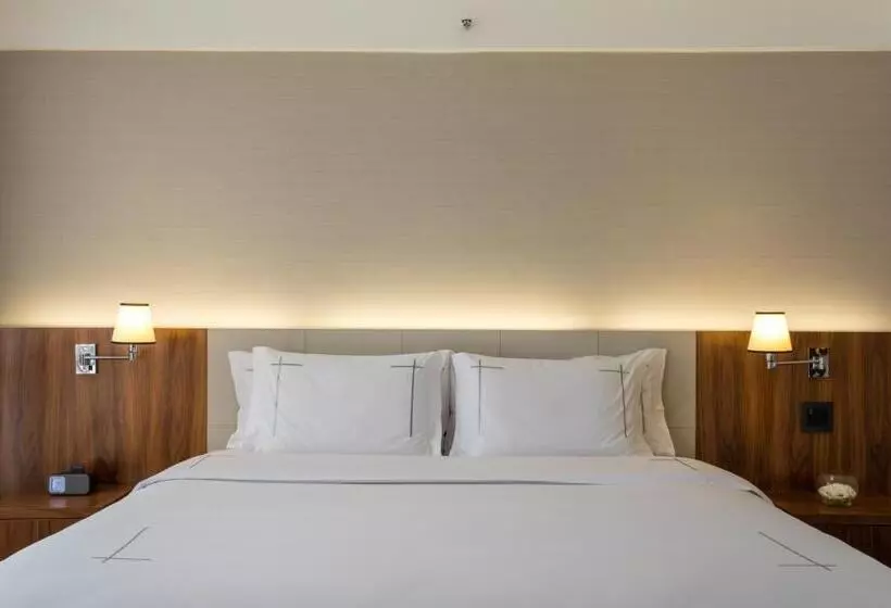 Deluxe-huone Kaupunkinäkymä, Tivoli Mofarrej Sao Paulo