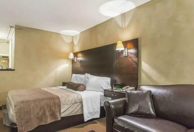 Standard-huone, Quality Hotel & Conference Centre
