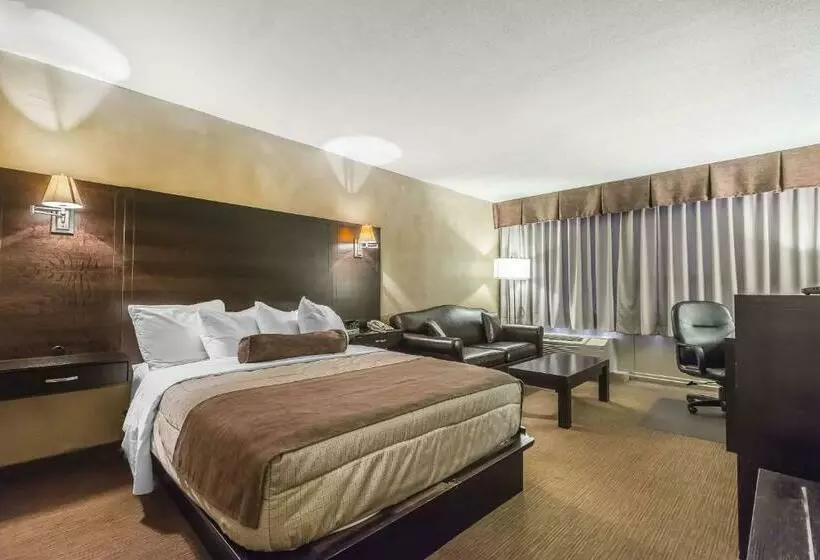 Standard-huone, Quality Hotel & Conference Centre