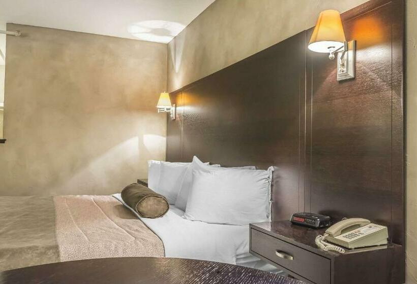 غرفة قياسية سرير كينج, Quality Hotel & Conference Centre