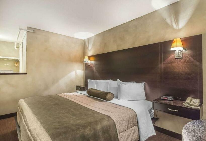 غرفة قياسية سرير كينج, Quality Hotel & Conference Centre