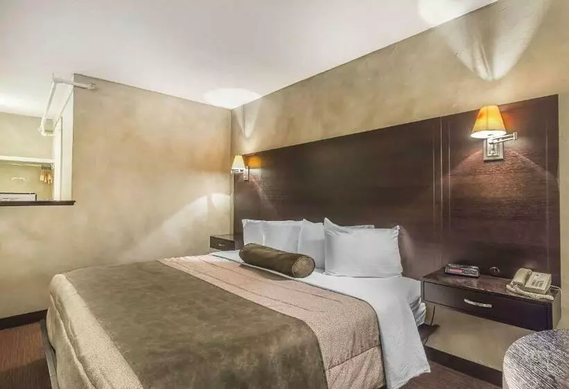 Standard-huone King-vuode, Quality Hotel & Conference Centre