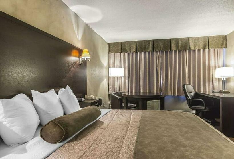 غرفة قياسية سرير كينج, Quality Hotel & Conference Centre