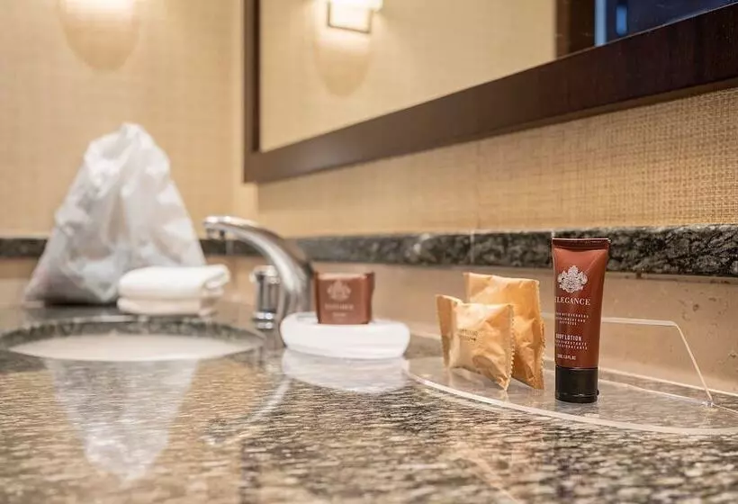 Standard-huone 2 Parivuodetta, Sheraton Grand Rio Hotel & Resort