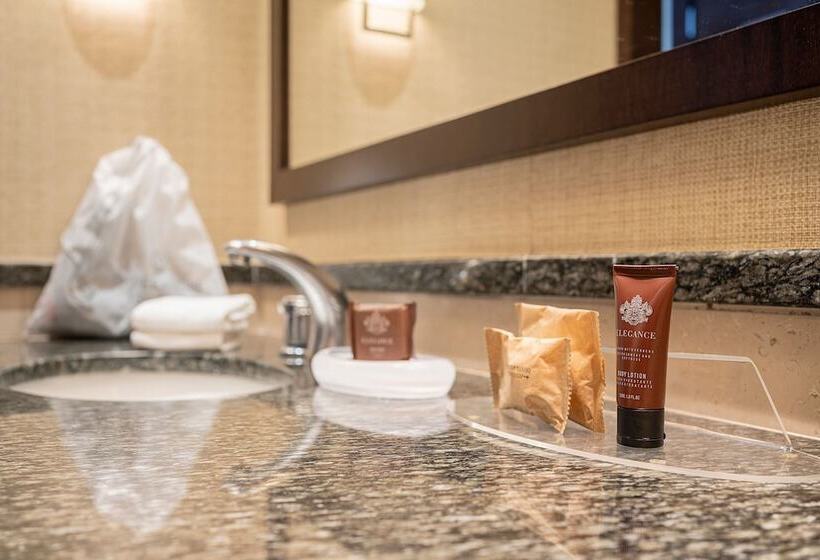 غرفة كلوب, Sheraton Grand Rio Hotel & Resort