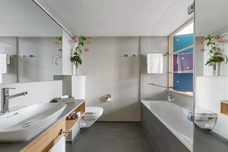 Habitació Premium, Basel  Urbane Tradition Und Moderne