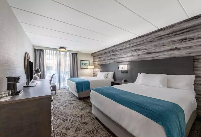 ２ダブルベッドのスタンダードルーム, Best Western Parkway Hotel Toronto North