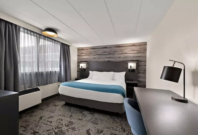 ダブルベッドスタンダードルーム, Best Western Parkway Hotel Toronto North