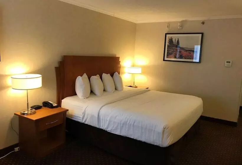 ビジネスルーム, Best Western Thunder Bay Crossroads