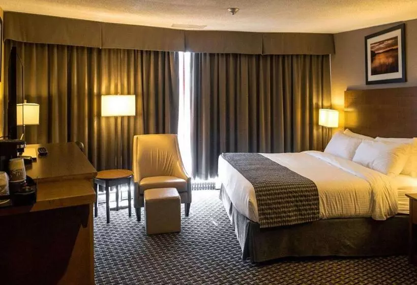 レイクビュースタンダードルーム, Clarion Lakeside Inn & Conference Centre