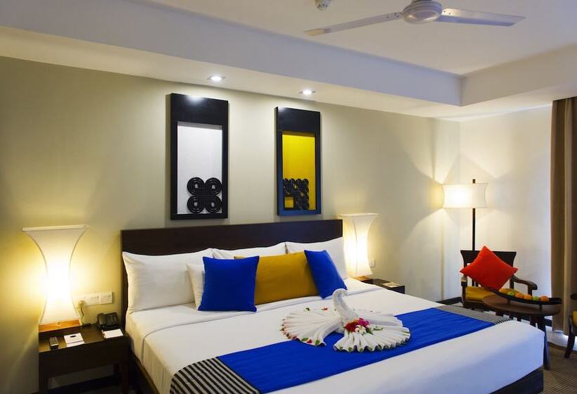 수피리어 룸, Club Hotel Dolphin