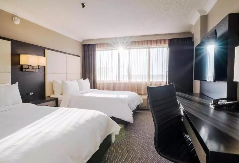 اتاق استاندارد, Crowne Plaza Hotel Moncton Downtown, An Ihg