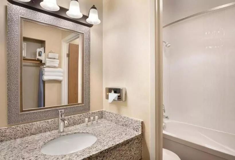 اتاق استاندارد با تخت بزرگ, Days Inn By Wyndham Nanaimo
