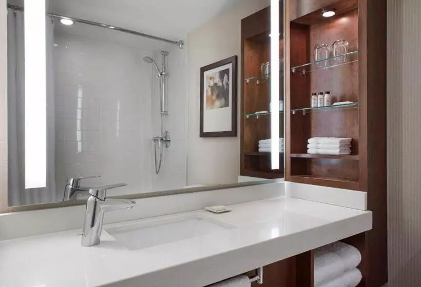 اتاق استاندارد, Delta Hotels By Marriott Ottawa City Centre