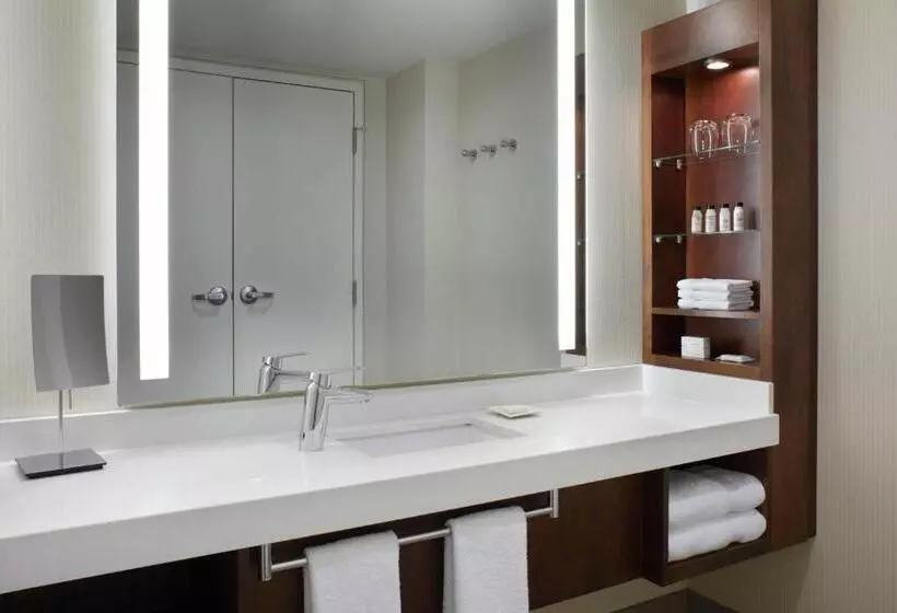 سوییت لوکس, Delta Hotels By Marriott Ottawa City Centre