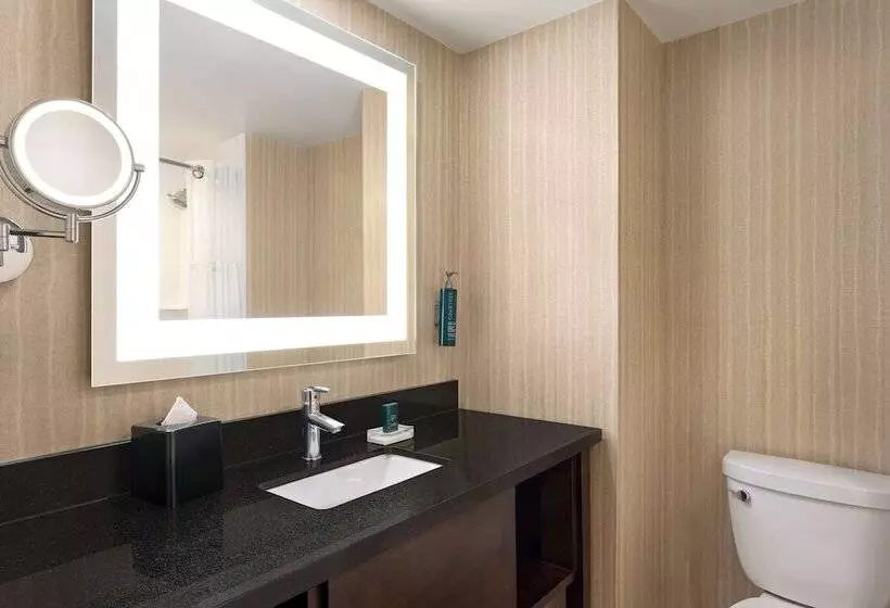 اتاق استاندارد, Doubletree By Hilton Pointe Claire Montreal Airport West
