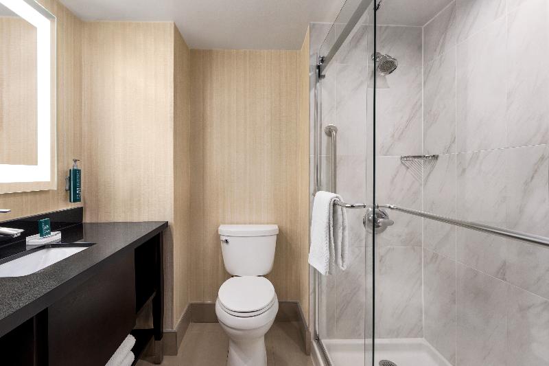 스탠다드 룸 킹사이즈 침대, Doubletree By Hilton Pointe Claire Montreal Airport West