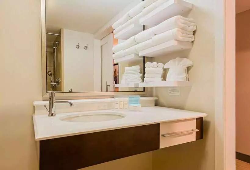 اتاق استاندارد, Doubletree By Hilton Pointe Claire Montreal Airport West