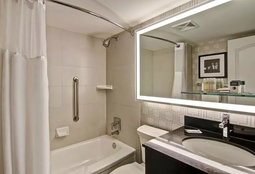 اتاق استاندارد با 2 تخت دوبل, Doubletree By Hilton Hotel Toronto Downtown