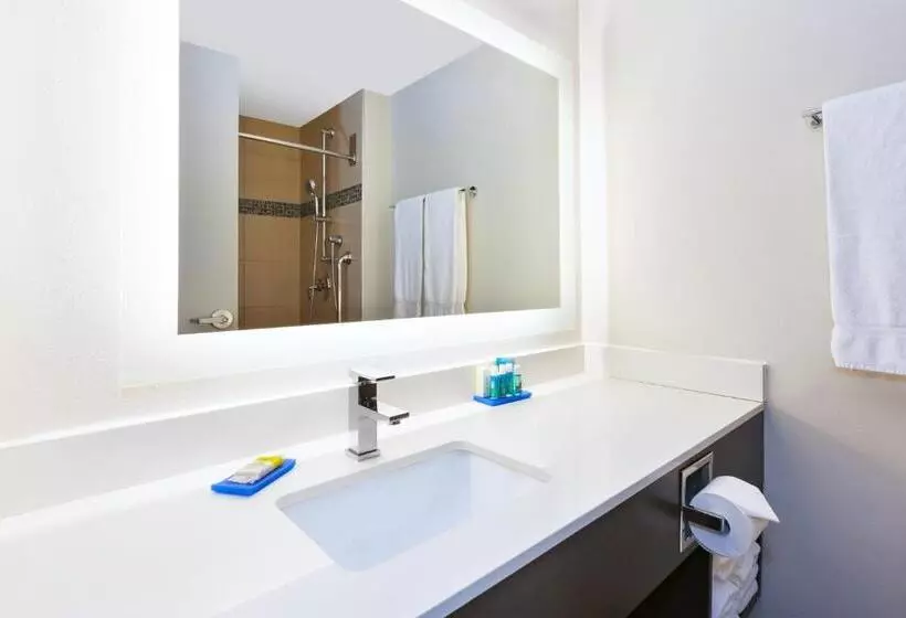 اتاق استاندارد با تخت بزرگ, Holiday Inn Express Winnipeg Airport   Polo Park, An Ihg