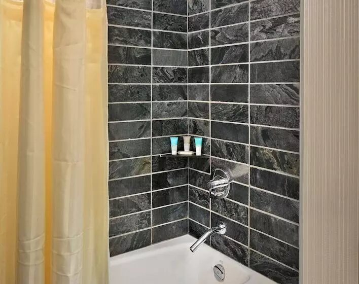 سوییت لوکس, Hyatt Regency Vancouver