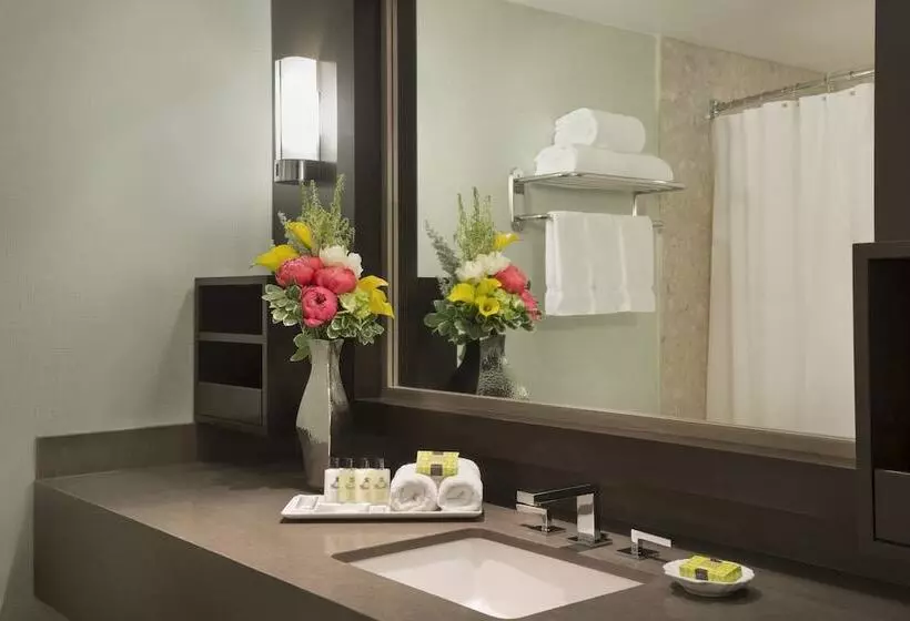 اتاق کلاسیک با تخت دوبل, Intercontinental Toronto Centre, An Ihg