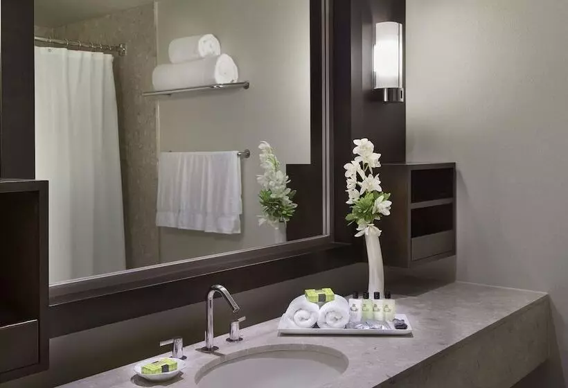 سوییت جونیور, Intercontinental Toronto Centre, An Ihg