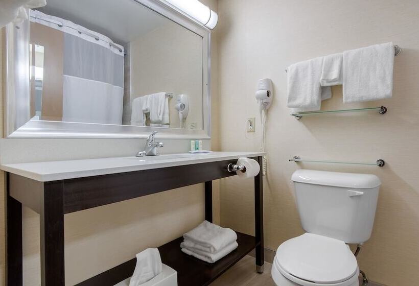 غرفه قياسيه سريرين مزدوجين, Quality Inn & Conference Centre Downtown