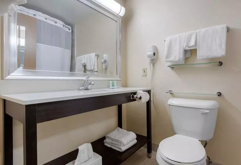 اتاق استاندارد با 2 تخت دوبل, Quality Inn & Conference Centre Downtown
