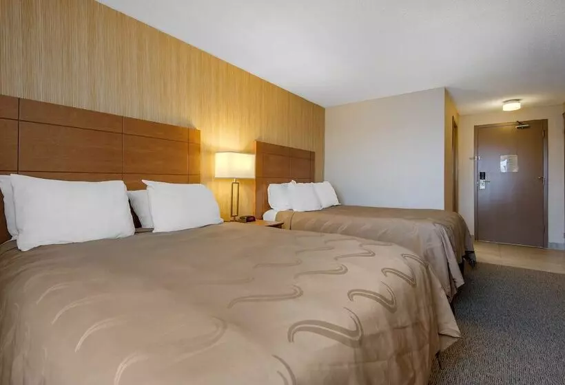 اتاق استاندارد با 2 تخت دوبل, Quality Inn & Conference Centre Downtown