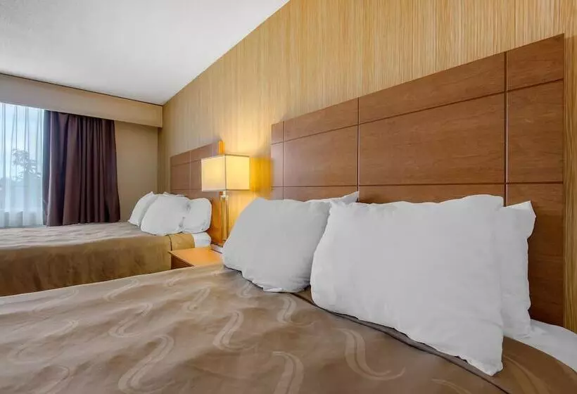 اتاق استاندارد با 2 تخت دوبل, Quality Inn & Conference Centre Downtown