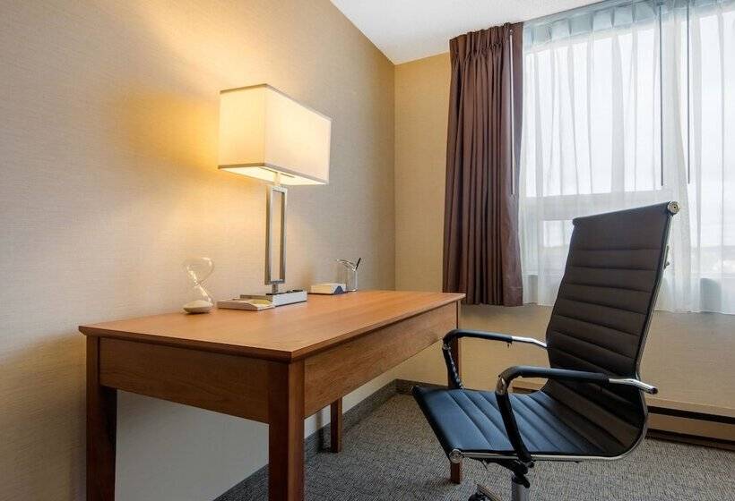 غرفه قياسيه سريرين مزدوجين, Quality Inn & Conference Centre Downtown