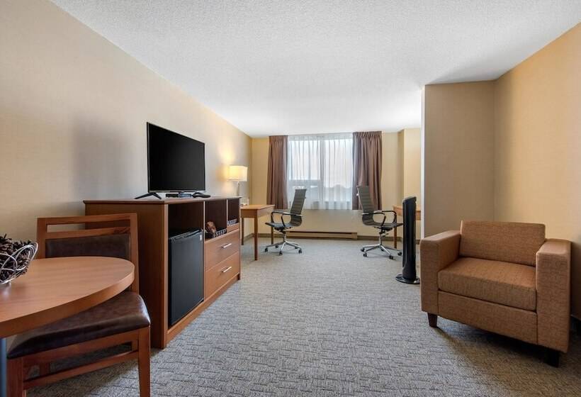 스탠다드 룸 더블 침대 2개, Quality Inn & Conference Centre Downtown