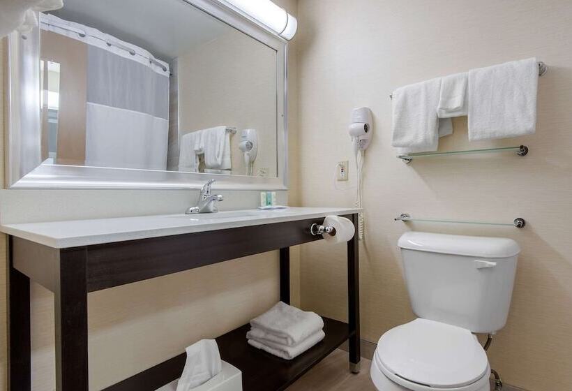 Quarto Estandar 2 Camas Casal, Quality Inn & Conference Centre Downtown