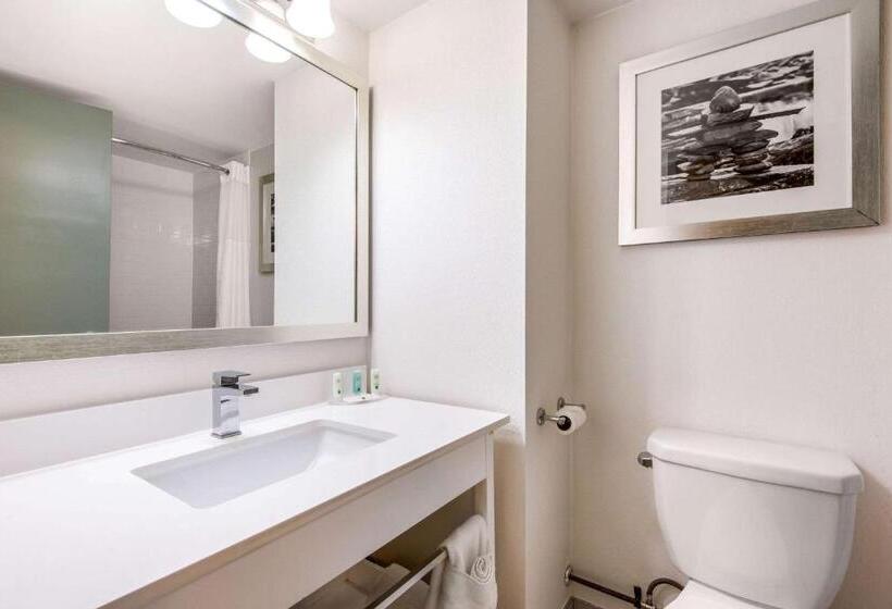 标准间, Quality Inn & Conference Centre