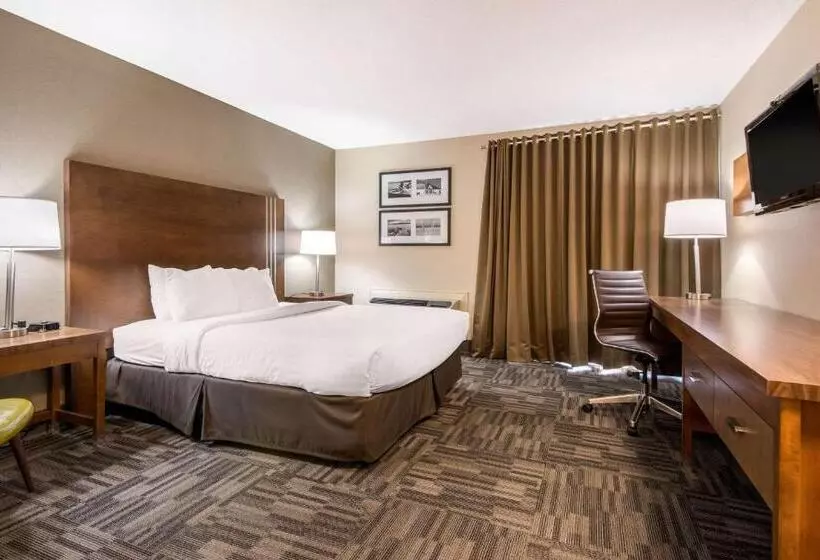 Standard-huone, Quality Inn & Conference Centre