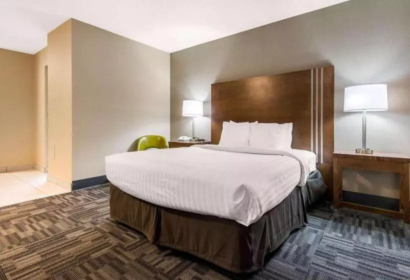 Standard-huone, Quality Inn & Conference Centre