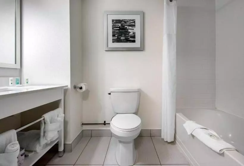 Standard-huone, Quality Inn & Conference Centre