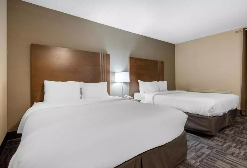 Standard-huone, Quality Inn & Conference Centre