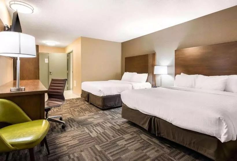Standard-huone, Quality Inn & Conference Centre